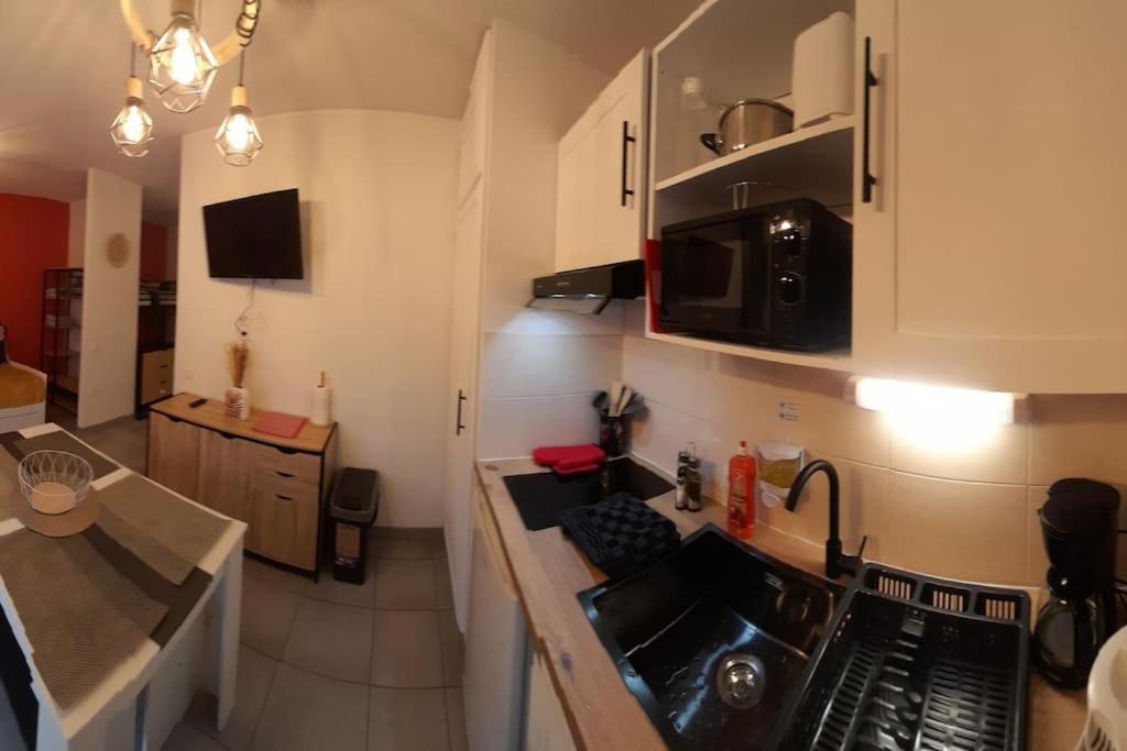 Appartement Du Chamois Roux, Dans Residence De Tourisme 3 Etoiles ルルド エクステリア 写真